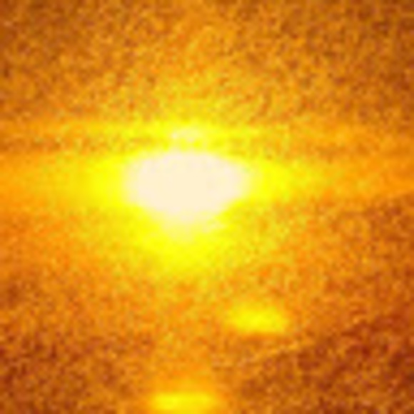 Meet your Posher, Sharon - Picture 1 of 1